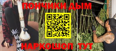 гидра Анжеро-Судженск
