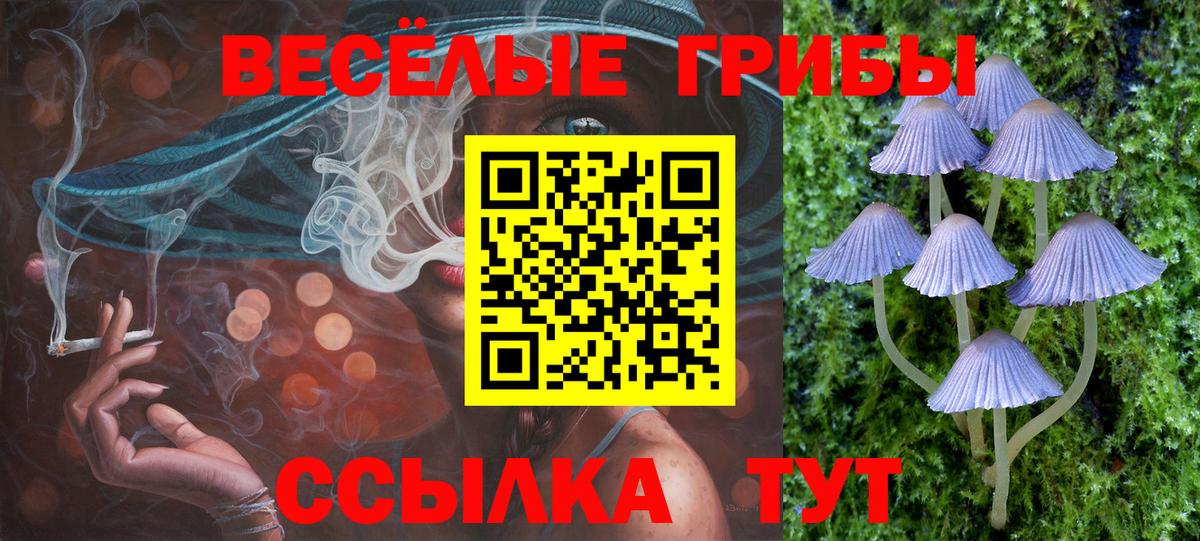 Галлюциногенные грибы ЛСД  Галлюциногенные грибы мицелий  Малоярославец  Вход с VPN 